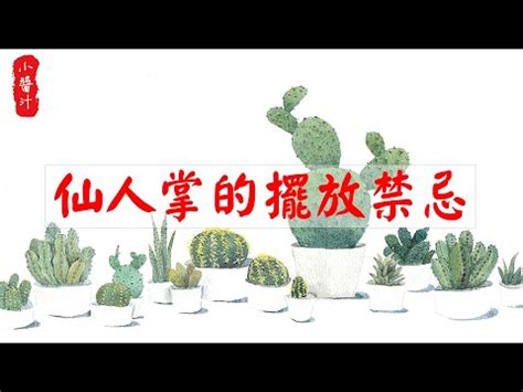 仙人掌辦公室|辦公室仙人掌照護攻略：打造綠意盎然的辦公環境 